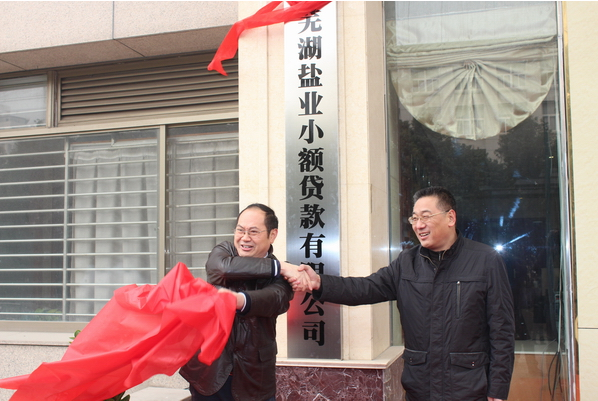 芜湖乐盈VI官网小额贷款有限公司12月26日举行开业庆典