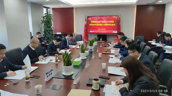安徽乐盈VI官网地产集团公司党委召开2020年度下层党支部书记抓党建事情述职评议会