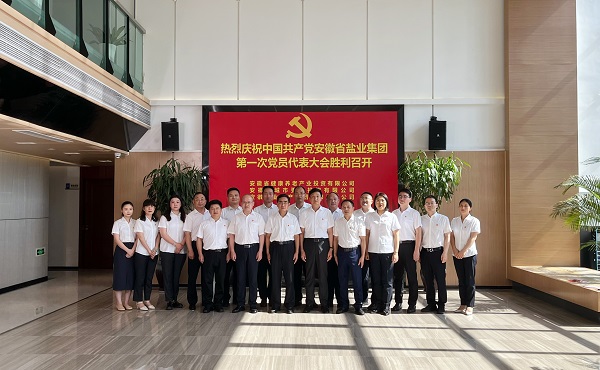 省康养公司等3家公司18名党代表喜迎省乐盈VI官网集团第一次党代会召开
