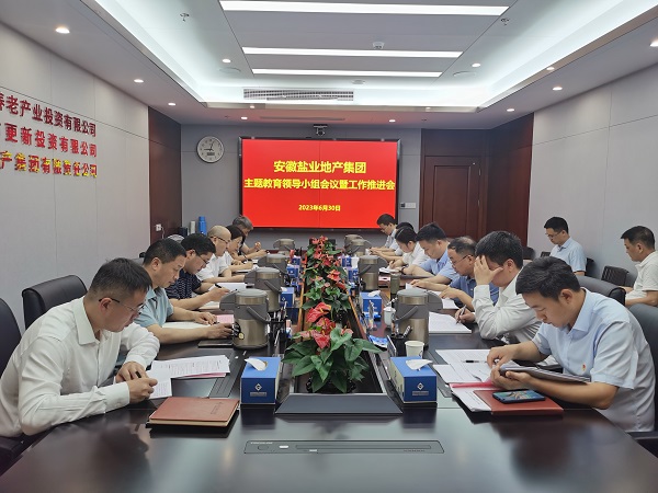 安徽乐盈VI官网地产集团召开学习贯彻习近平新时代中国特色社会主义头脑主题教育向导小组聚会暨事情推进会